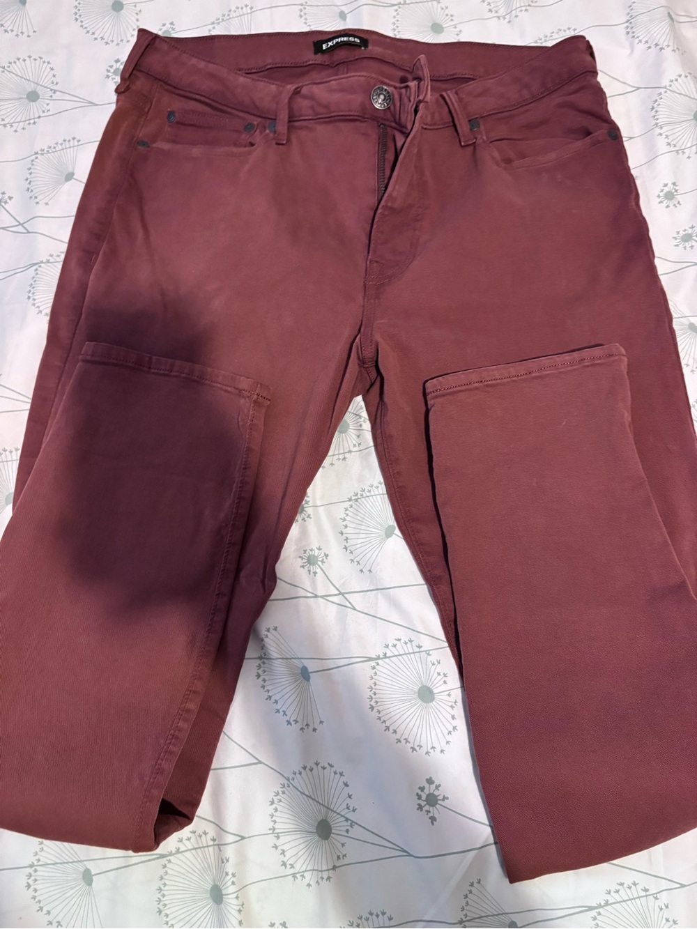 Express Men’s Brick Red Cargo Pants